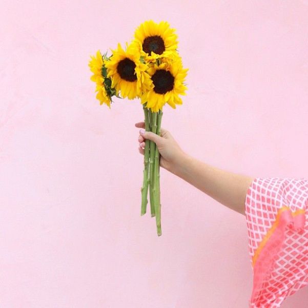 918a00cda17dbdd58e6084b5c8468efc